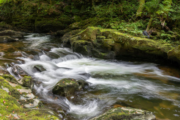 istock Watersmeet in Exmoor National Park 1285161727