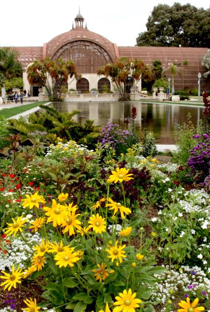 istock Reflection Pool In Front Of Botanical Building San Diego 1285164096