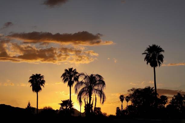 istock Sunset Over Tucson Arizona 1285165429