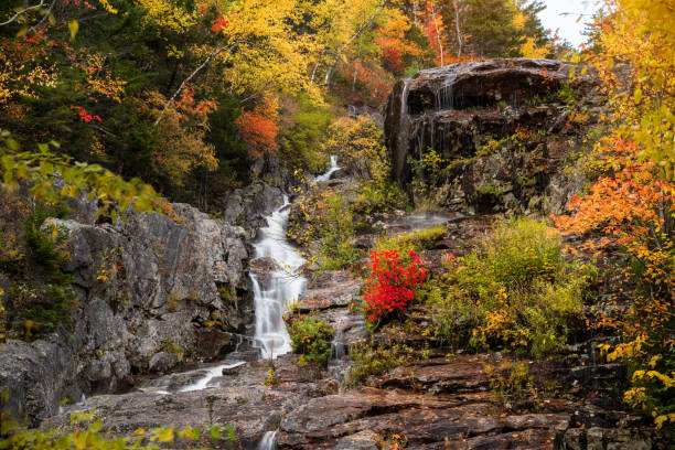 istock Beautiful waterfall in a autumnal forest 1285166374