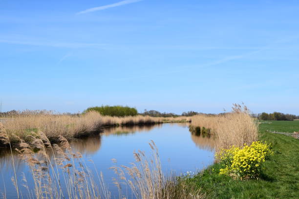 istock dutch landscape with river de Grecht near Woerden 1285166400