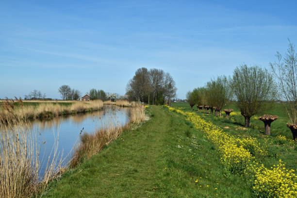 dutch landscape with river de Grecht near Woerden stock photo