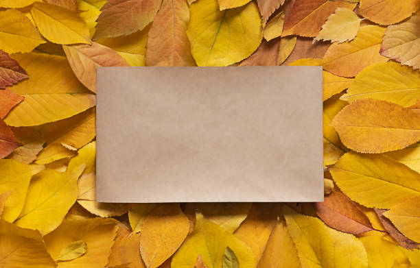 istock Kraft paper against autumn leaves 1285168717