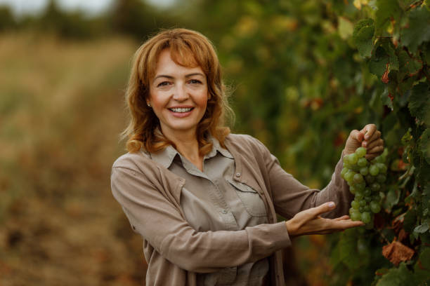 istock Autumn season, growth grapes. 1285170859