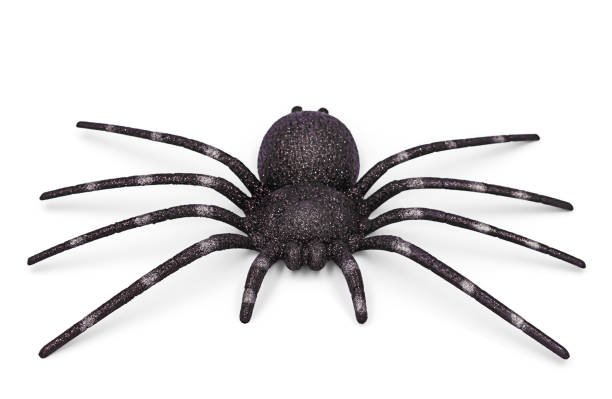 istock Halloween decoration with black fake glittering spider 1285175220