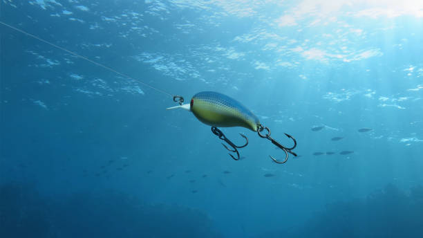 istock fishing lure in the sea 1285176232