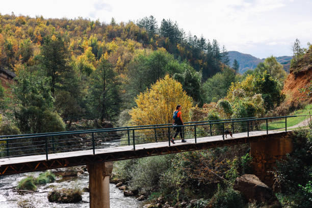 Young woman going for a hike in the beautiful outdoors. She is crossing a small bridge, wearing sports clothes. Going into the forest with her dog.