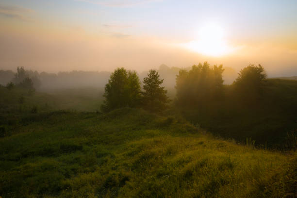 istock The sun and fog 1285178185