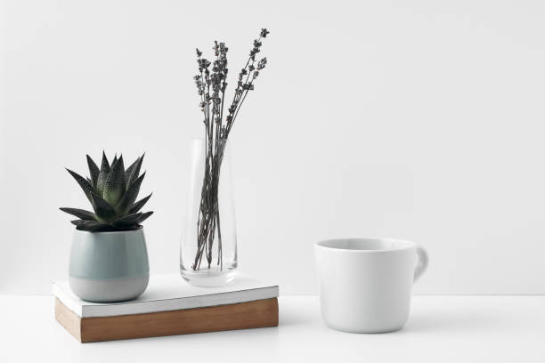 caneca e vaso transparente com flores em um fundo branco. materiais ecológicos na decoração do quarto, minimalismo. copiar espaço, zombar - 13422 - fotografias e filmes do acervo