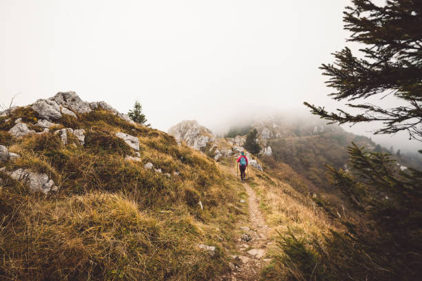 Caucasian woman hiker walking on mountain trail with hiking poles. Woman mountaineer on autumn hike in European Alps on a foggy day.