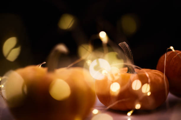 istock miniature pumpkins and christmas lights 1285184085