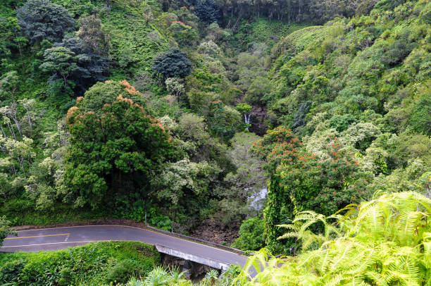 istock Road to Hanna Maui Hawaii 1285184661