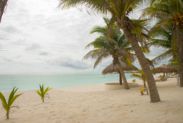karaibska plaża o zachodzie słońca z pochmurnym niebem - tourist resort luxury desire love zdjęcia i obrazy z banku zdjęć