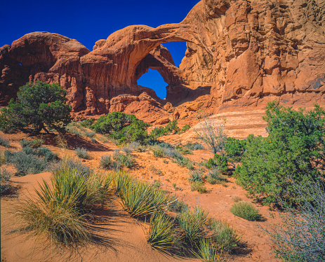 DUSK LIGHT ON DUSK LIGHT ON DOUBLE ARCH RED ROCK FORMATIONS