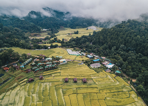 This village magnificently covered by a thin layer of fog and verdant rice terraces in descending order.