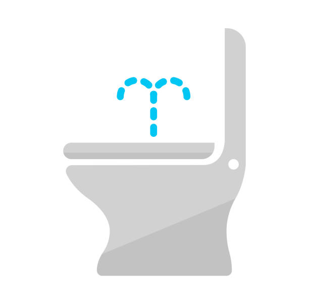 prysznic toaleta / bidet płaski wektor ikona ilustracja - bidet stock illustrations