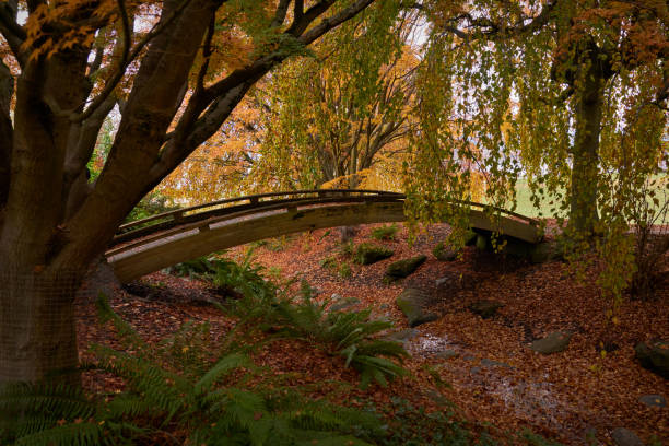 istock Vanier Park Autumn Leaves 1285200489