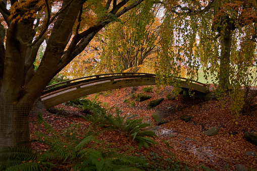 An arched bridge on one of the trails in Vanier Park, Vancouver.
