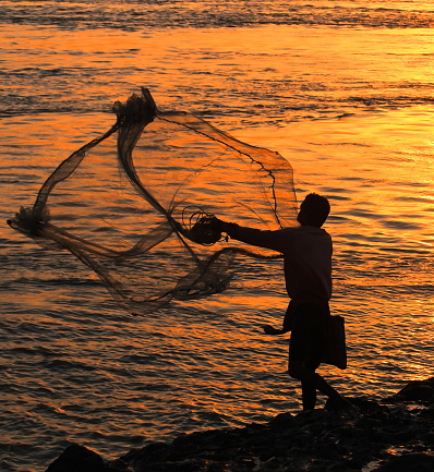 diamond harbour, west bengal / india - 6th may 2020: cast net fishing on ganges river during dusk