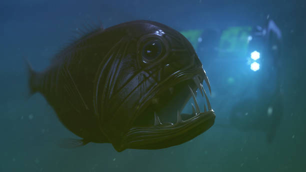 팡투스 - anglerfish 뉴스 사진 이�미지