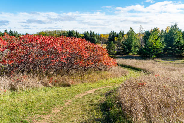Bronte Creek Provincial Park in Autumn, Oakville, Canada