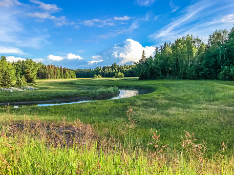 Picture of one of the many parks in Anchorage, Alaska. This park offers open lands, flowing streams, peaceful walks, and breathtaking views.