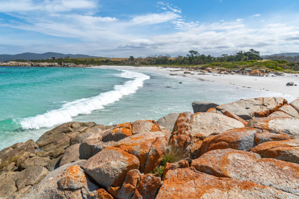 Taylors Beach at Fires Conservation Area, Tasmania, Australia Bay of Fires Conservation Area, Tasmania, Australia. bay of fires photos stock pictures, royalty-free photos & images