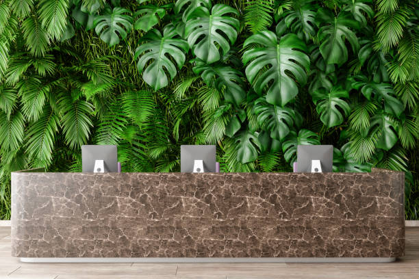 大理石のデスクと植物の背景を持つラグジュアリースパホテルレセプション - hotel reception hotel receptionist health spa ストックフォトと画像