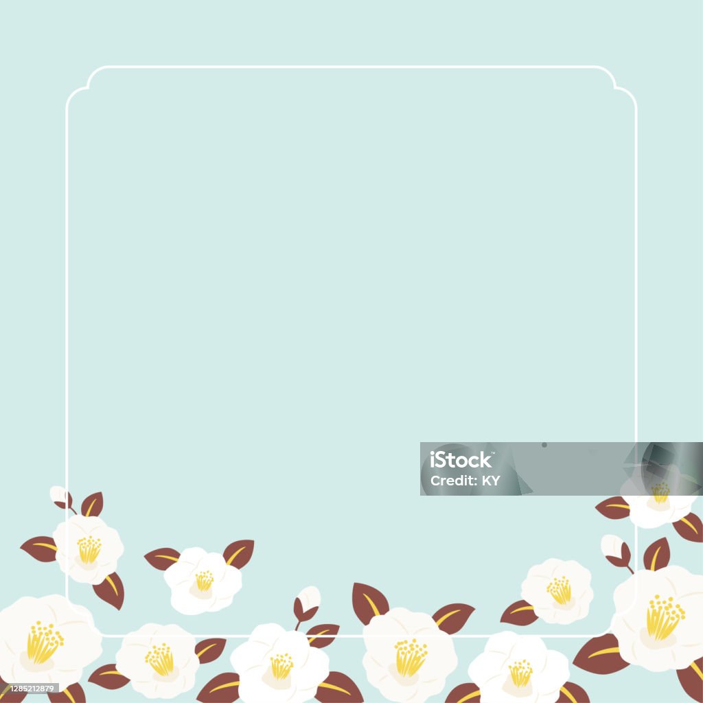 화이트 동백 꽃 배경 일러스트 0명에 대한 스톡 벡터 아트 및 기타 이미지 - 0명, 겨울, 꽃-식물 - Istock