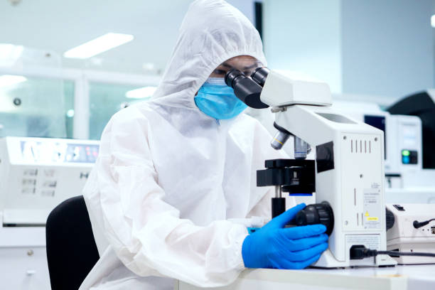 istock Scientists in the sterile room Reducing, try microscopy. To check for infection Looking at platelets experimental blood sample With a microscope. 1285213081