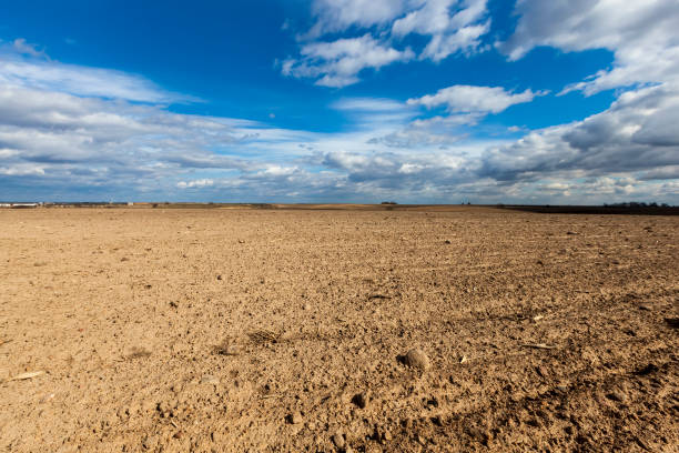 istock agricultural field sown with grain in spring or summer 1285217053