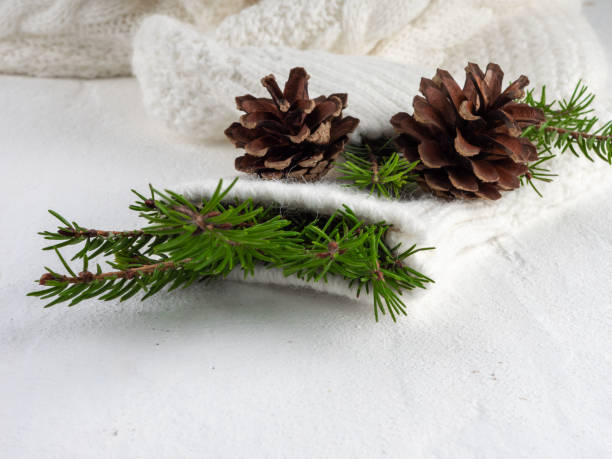 istock Merry Christmas festive minimalistic stylish background. 1285221066