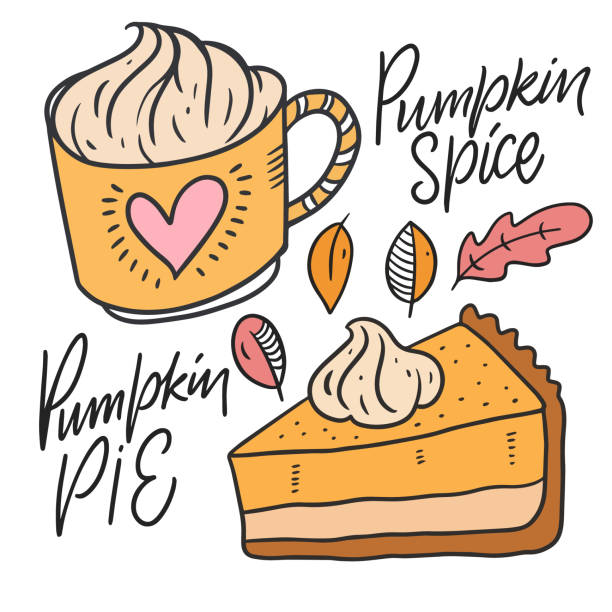 przyprawa z dyni i ciasto z dyni. ręcznie rysowany szkic. - pumpkin latté coffee spice stock illustrations