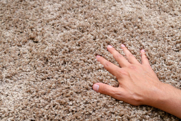 primer plano de la mano tocando alfombra suave. alfombra suave y esponjosa entre los dedos. - alfombra fotografías e imágenes de stock