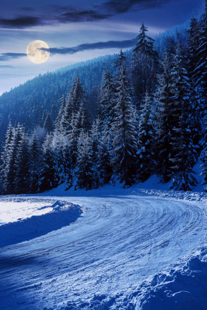 istock snow covered road through forest at night 1285222670