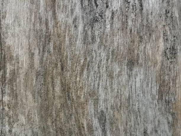 istock Close up photo of Old planks 1285224736