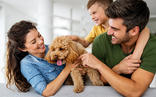 Happy young family playing, having fun with dog at home