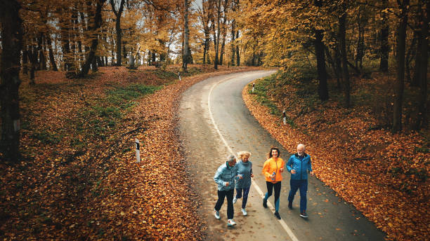 istock Group of mature folks jogging in a forest. 1285226479