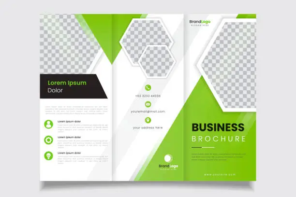 Vector illustration of Professional design of triple business brochure template