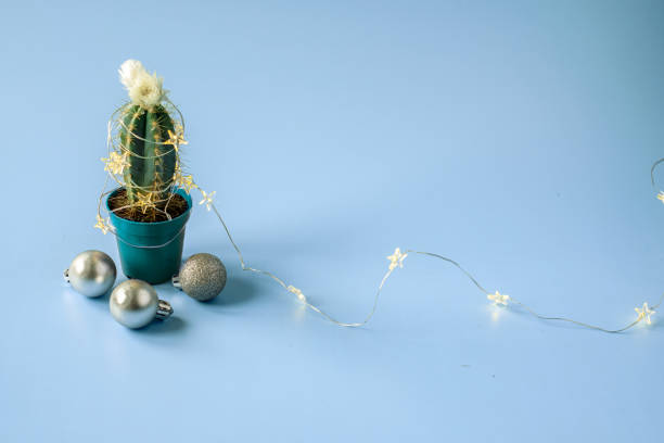 istock Cactus decorated with Christmas lights and ornaments on blue background with copy space 1285232136