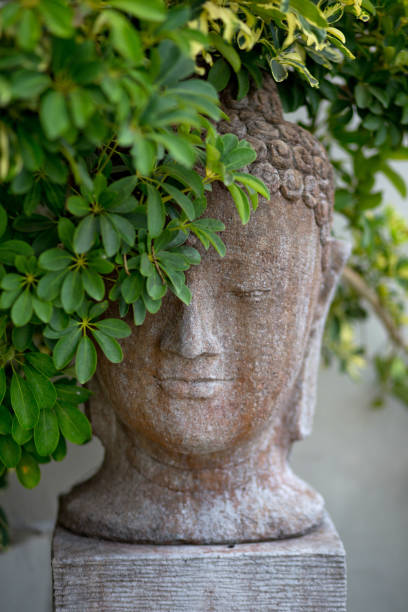 istock Buddha statue in the garden 1285232460