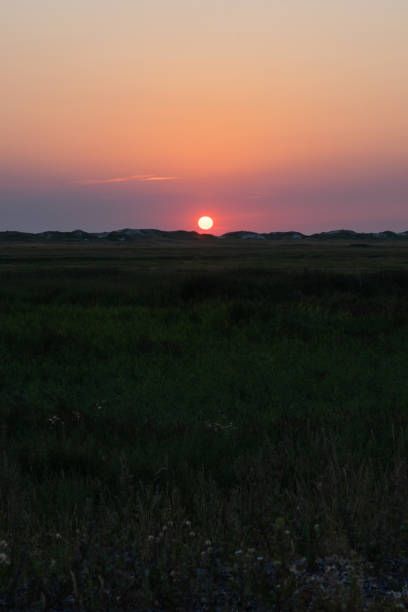 istock View over the grassland between the dike and the beach against the deep setting sun on the North Sea coast. 1285233681