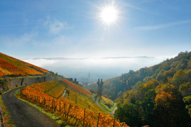 vineyards and ahrweiler in autumn - renânia imagens e fotografias de stock