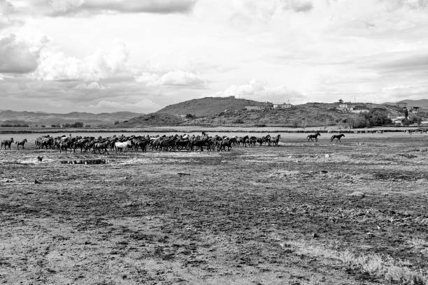 istock World famous race horses 1285236697