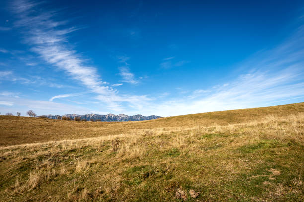 Fields and cloudy sky landscape.