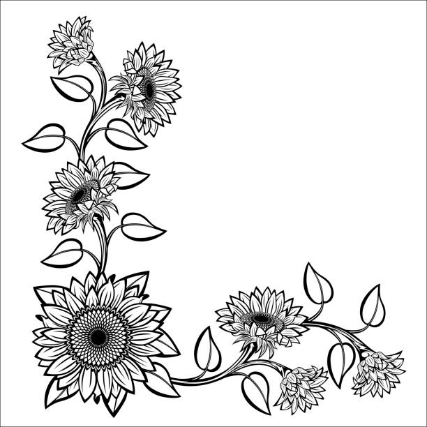Sunflower vector art illustration