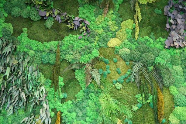 istock a fragment of green phytowall from stabilized plants with moss 1285239003