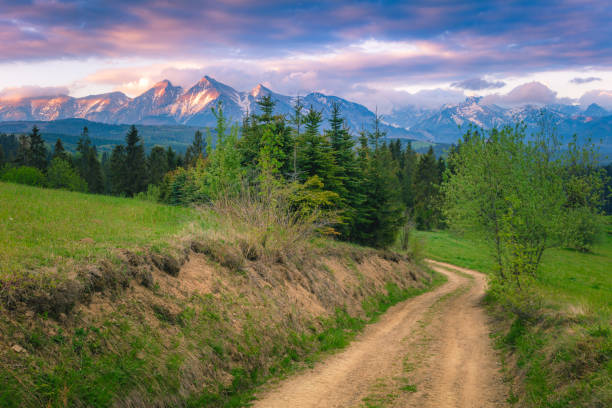 istock Panorama of Belianske Tatras 1285242141