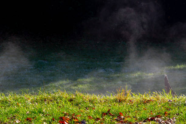 istock Mist rising from the grass in the morning sun 1285246489