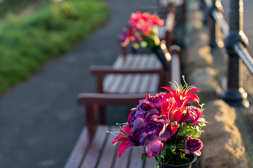 In the foreground is a bunch of flowers on a memorial bench on the headland overlooking the North Sea at Tynemouth, Tyne and Wear, England, UK.